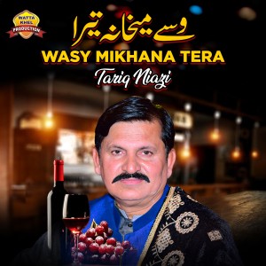 Listen to Wasy Mikhana Tera song with lyrics from Tariq Niazi