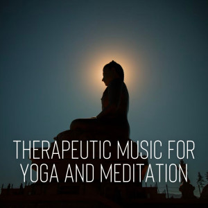 Dengarkan Temperate Sleep Music lagu dari Bugghist Meditation Music Set dengan lirik