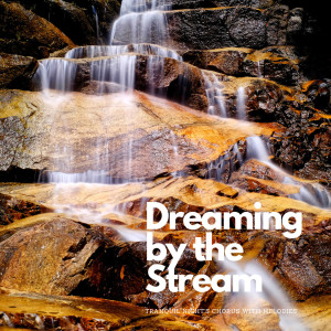 อัลบัม Dreaming by the Stream: Tranquil Night's Chorus with Melodies ศิลปิน At The End Of Times