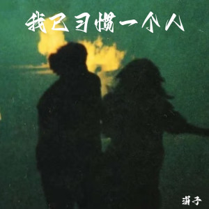 Listen to 我已习惯一个人 (完整版) song with lyrics from 涓子