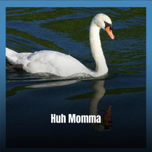 Listen to Hon Send song with lyrics from Bber