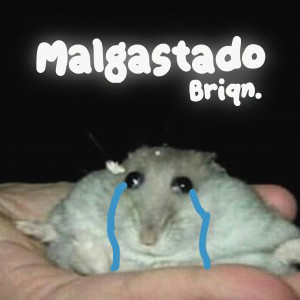 收聽Briqn.的Malgastado歌詞歌曲