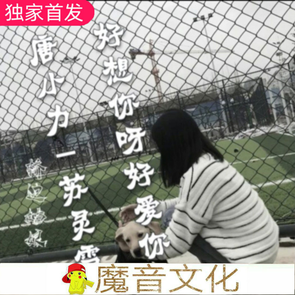 编号31373413 (DJ串烧)