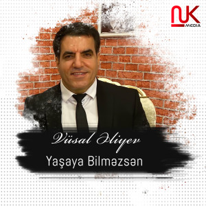 Listen to Yaşaya Bilməzsən song with lyrics from Vüsal Əliyev