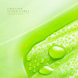 Album Meeting The Falling Raindrops Sound, More Sensitive Piano (Nature Ver.) from Various Artists