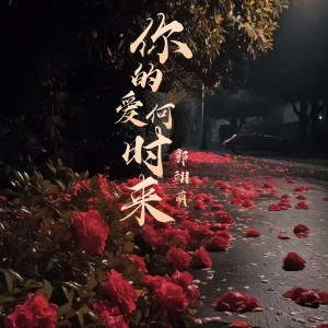 Listen to 你的爱何时来（DJ版） (完整版) song with lyrics from 郭翊萌