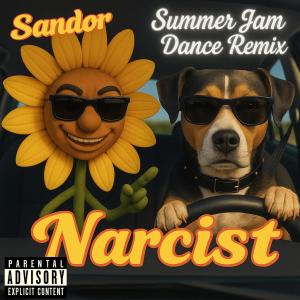 收聽Sandor的Narcist (Summer Jam Dance Remix|Explicit)歌詞歌曲