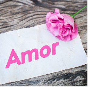 Album Amor from 