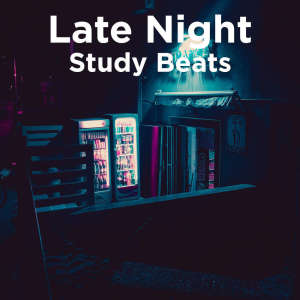 Dengarkan lagu LoFi Chill nyanyian Lofi Sleep Chill & Study dengan lirik