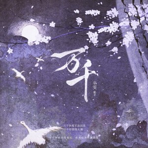Album 万千 from 辛雯