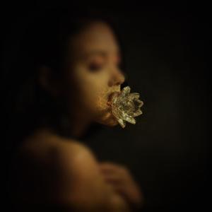 ดาวน์โหลดและฟังเพลง Weird Fishes / Arpeggi พร้อมเนื้อเพลงจาก Alexa Melo
