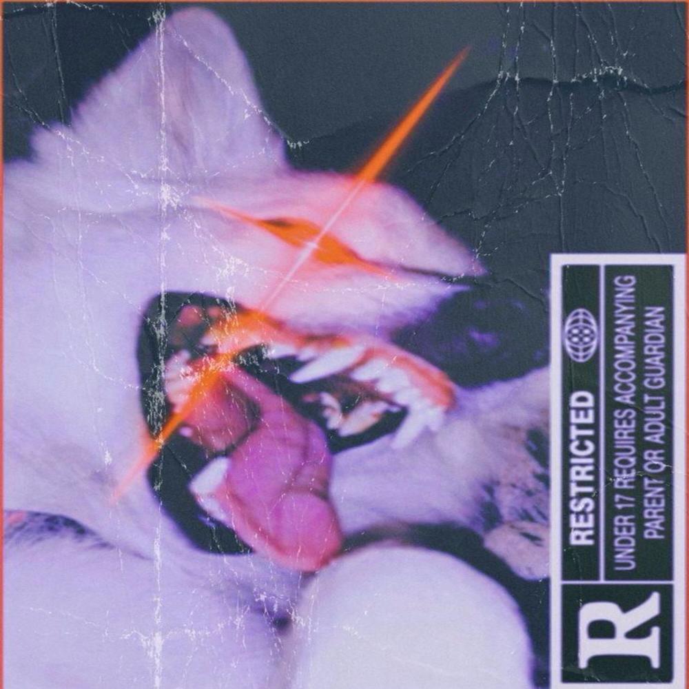 Danza con el Lobo (feat. SyrolBeats) (Explicit)