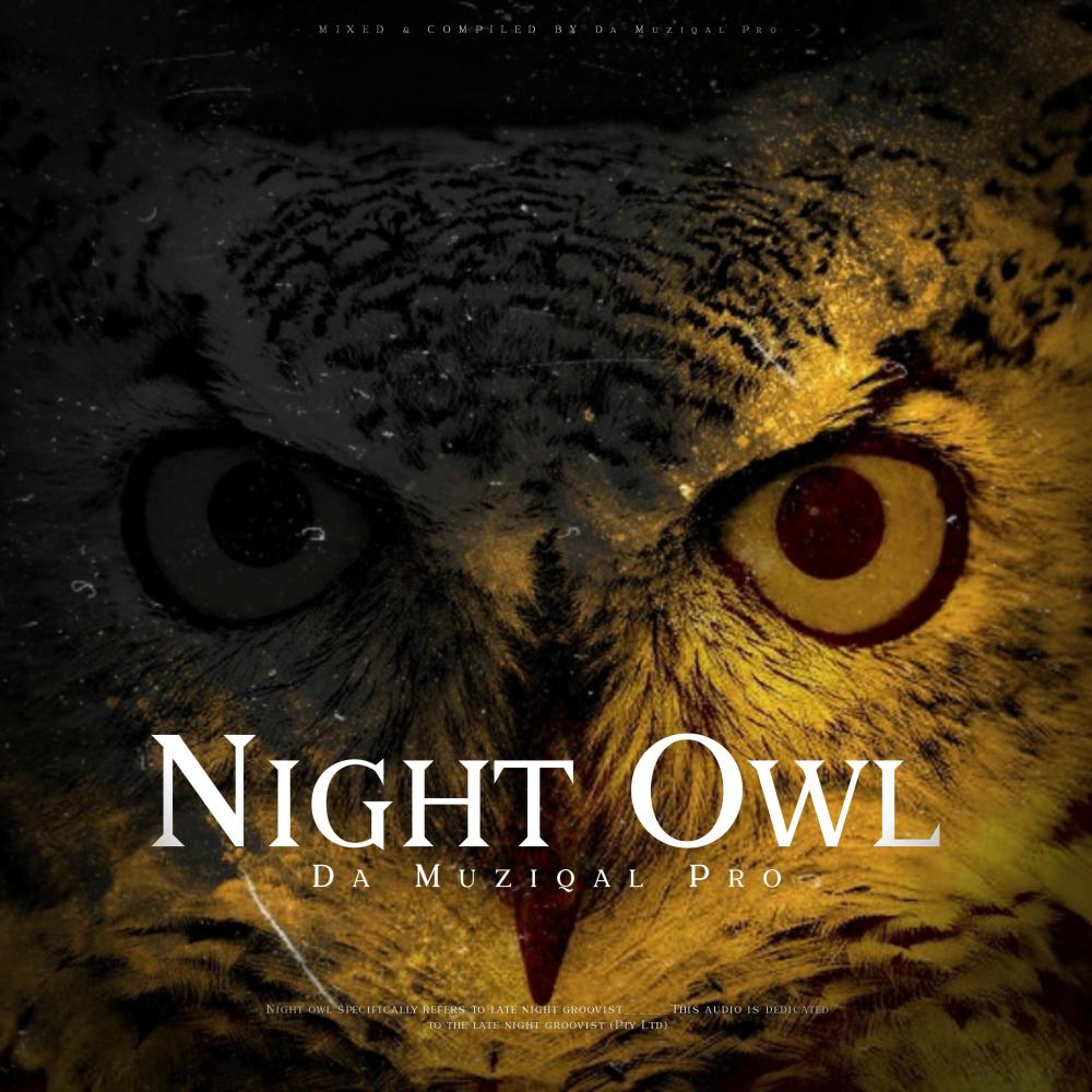 Night Owl
