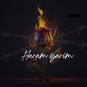 Album Haram Yarim oleh LATE