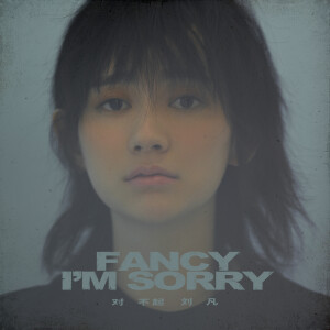 ดาวน์โหลดและฟังเพลง 对不起 พร้อมเนื้อเพลงจาก 刘凡