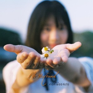 Listen to ดอกไม้ของเธอ song with lyrics from Mr'พระจันทร์