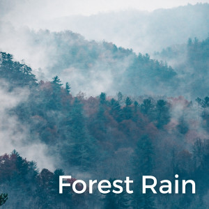 Epiphonema的專輯Forest Rain