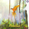 default album img