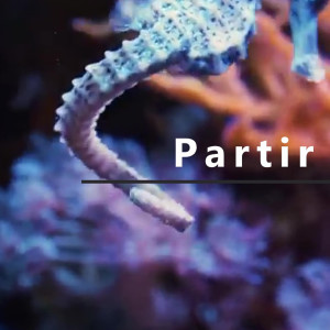 Patrice的专辑Partir