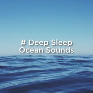 收听Ocean Sounds的Rolling Ocean Waves歌词歌曲