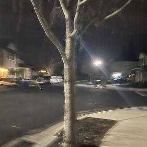 Album Out the woods from Young Noah