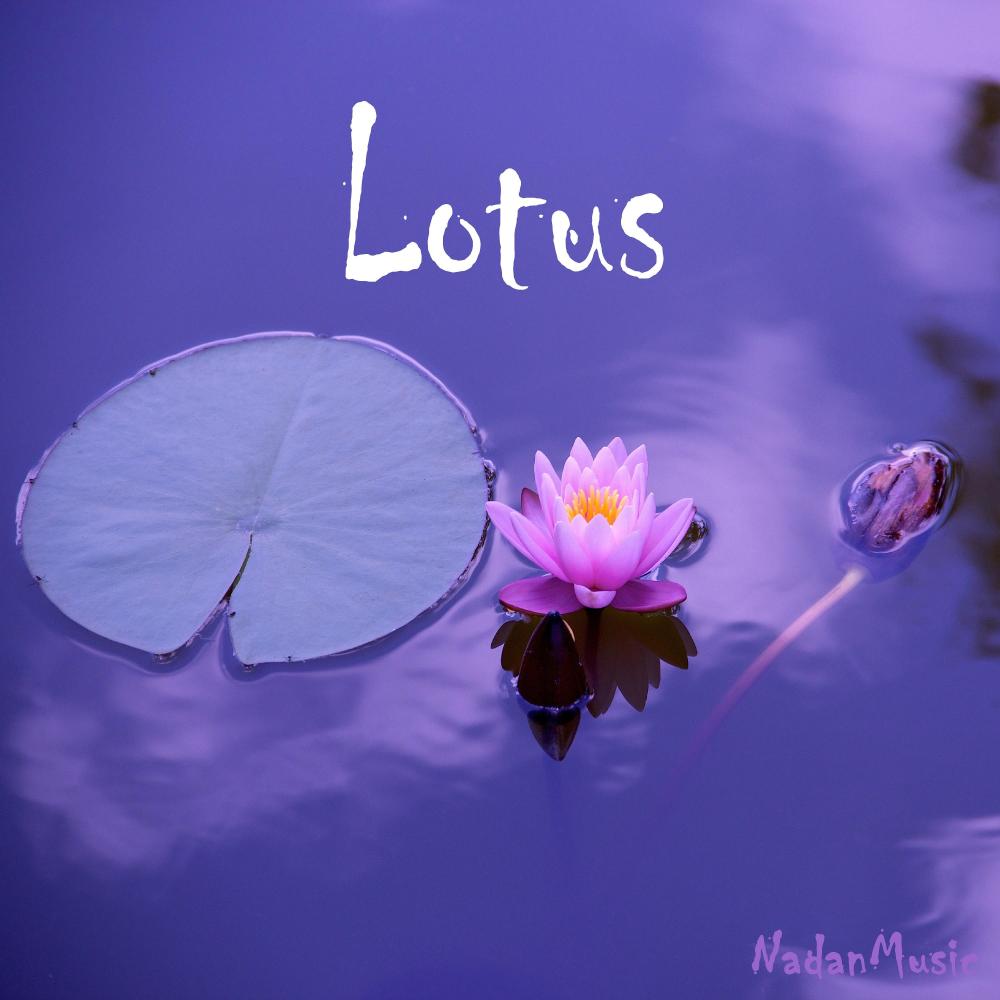 Lotus (Rian Sounds ASMR, Natural White Noise)