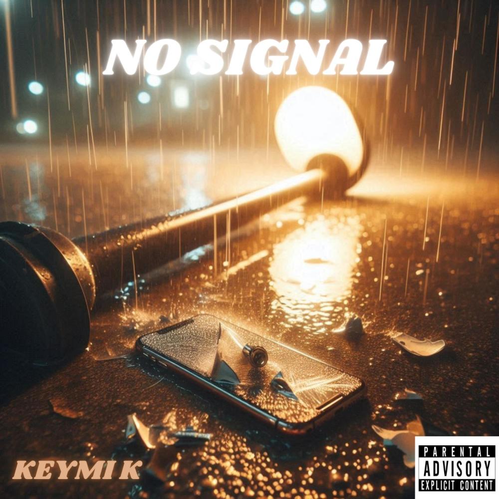 No Signal