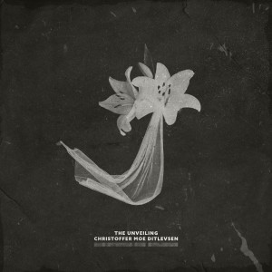 收听Christoffer Moe Ditlevsen的Covert Affairs歌词歌曲