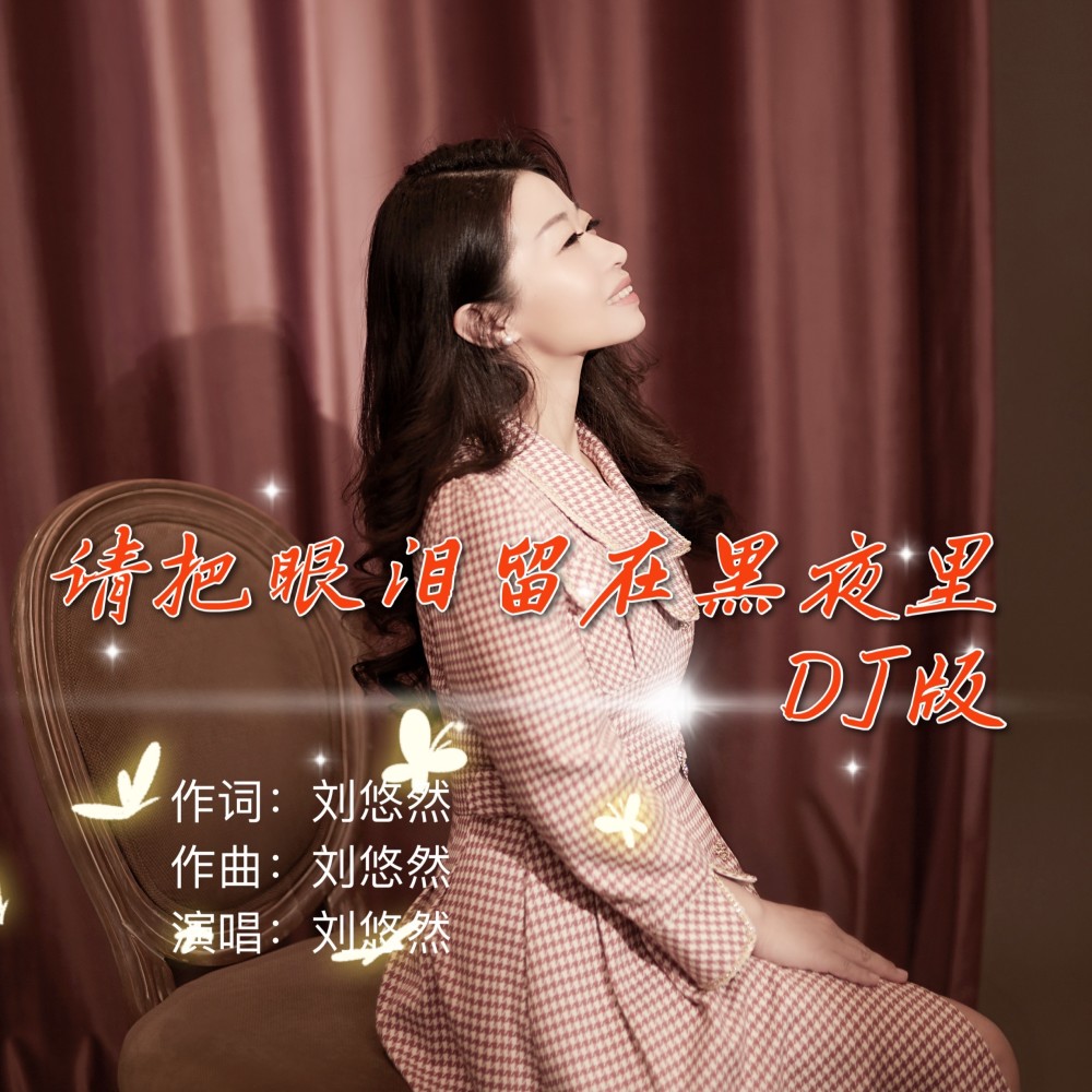 请把眼泪留在黑夜里（DJ沈念版） (伴奏)