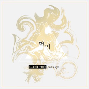 Album 멀미 from 블랙트리