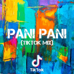 Dengarkan lagu Pani Pani (TikTok Mix) nyanyian Dj Viral Indonesia dengan lirik