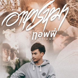 Listen to อาหารหมา song with lyrics from ท๊อฟฟี่ ไทแบนด์