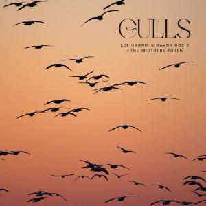 收聽Lee Harris的Gulls歌詞歌曲