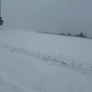 收聽Armoniixd的Kapeesh (Explicit)歌詞歌曲