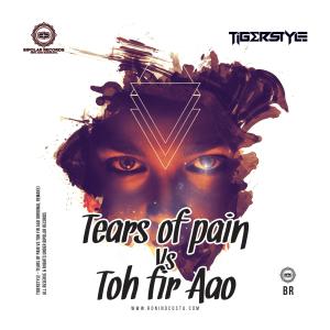 Tigerstyle的專輯Tears Of Pain Vs Toh Fir Aao (Original Remake)