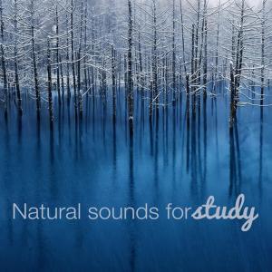 ดาวน์โหลดและฟังเพลง Brook Bird Song พร้อมเนื้อเพลงจาก Nature Ambience