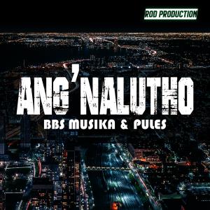 Listen to Ang'Nalutho (Vocal Mix) song with lyrics from Pules