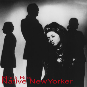 Listen to Native New Yorker (Studio 54 Big Apple Mix) (Studio 54 Big Apple mix) song with lyrics from Black Box