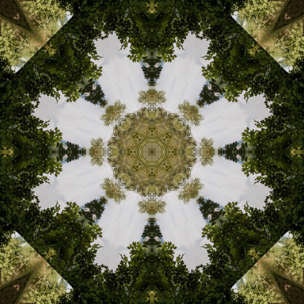Inward Visions