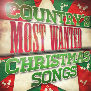 收聽Holiday Country Heroes的All I Want for Christmas (Is a Real Good Tan)歌詞歌曲