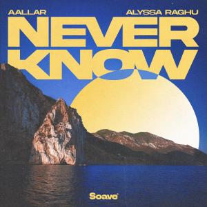 AALLAR的專輯Never Know
