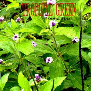 อัลบัม TROPICAL GREEN ศิลปิน Oswald Diab