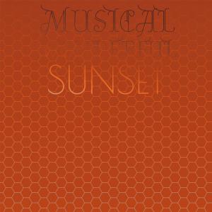 Album Musical Wonderful Sunset from Various