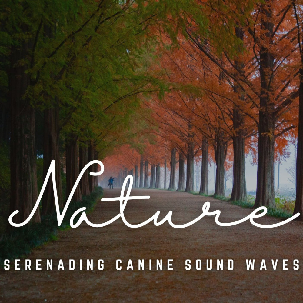 A Dog's Song of Peace