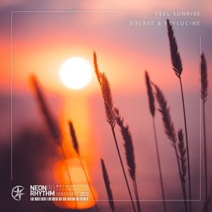 D3CREE的專輯Feel Sunrise