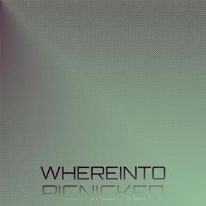 Album Whereinto Picnicker from Various