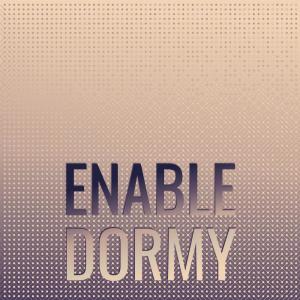 Various的专辑Enable Dormy