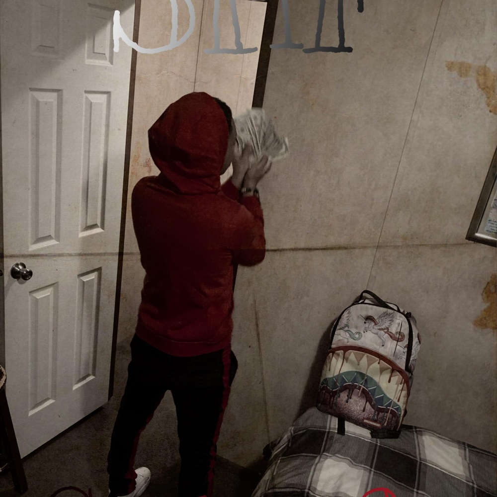 S.H.F (Stupid ho free) (Explicit)