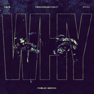 Album WHY (Explicit) from Public Goods