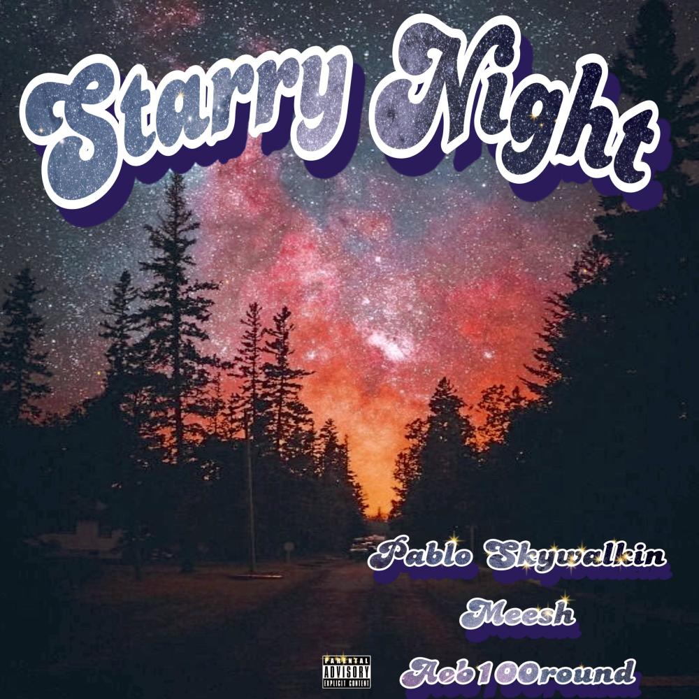 Starry Night (feat. Pablo Skywalkin) (Explicit)